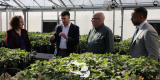 MSU greenhouse header