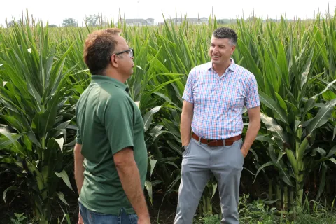 MSU Plant Pathology