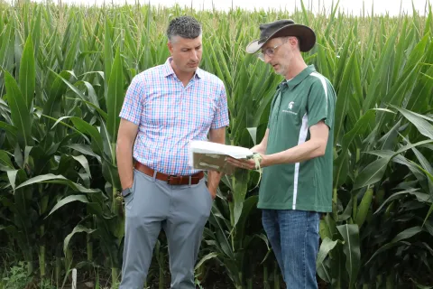 MSU Plant Pathology